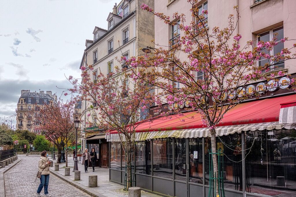 1280px-Le_printemps_a_Paris_rue_de_la_Bucherie_2021-1024x683 Florada Das Cerejeiras Em Paris - 9 lugares para apreciar