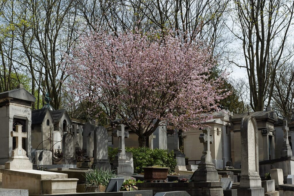 1280px-Pere-Lachaise_-_Division_70_-_arbre_en_fleurs_03-1024x682 Florada Das Cerejeiras Em Paris - 9 lugares para apreciar