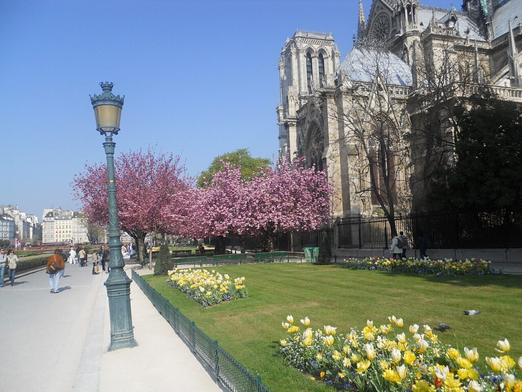 Notre_Dame_Cathedral_Cherry_Blossom-1024x768 Florada Das Cerejeiras Em Paris - 9 lugares para apreciar