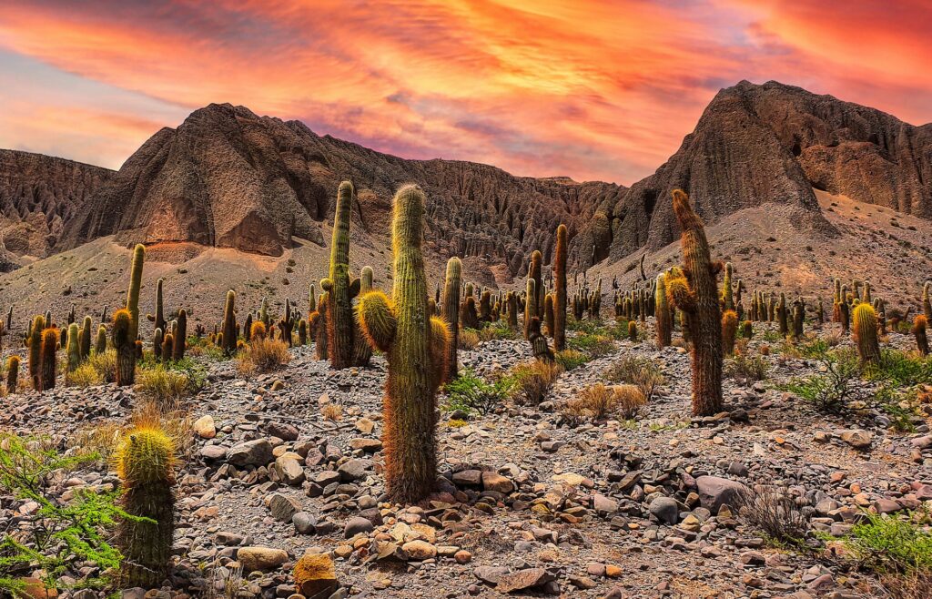 hector-ramon-perez-nLSDwfUYSdE-unsplash-1024x658 As Melhores Cidades para Visitar na Argentina