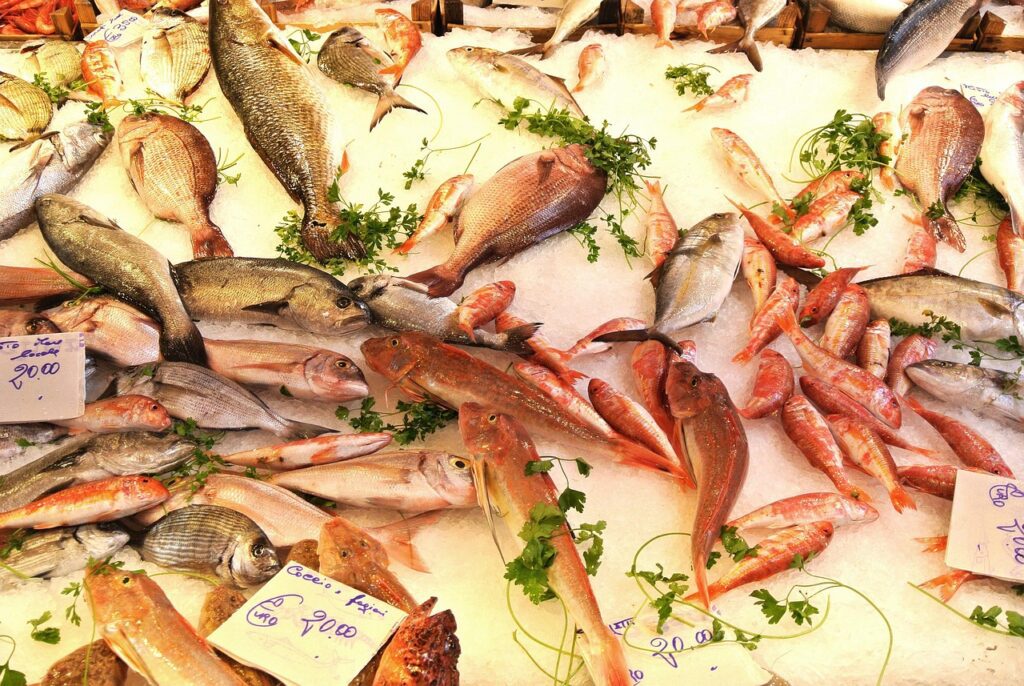 fish-4709932_1280-1024x686 Palermo, Sicília: caos encantador, sabores intensos e história viva
