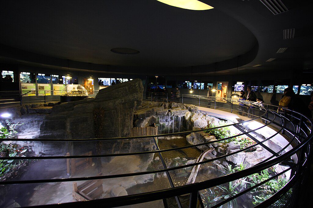 Aquarium_tropical_du_Palais_de_la_Porte_Doree 🌧️ Paris com Chuva – 20 lugares para visitar