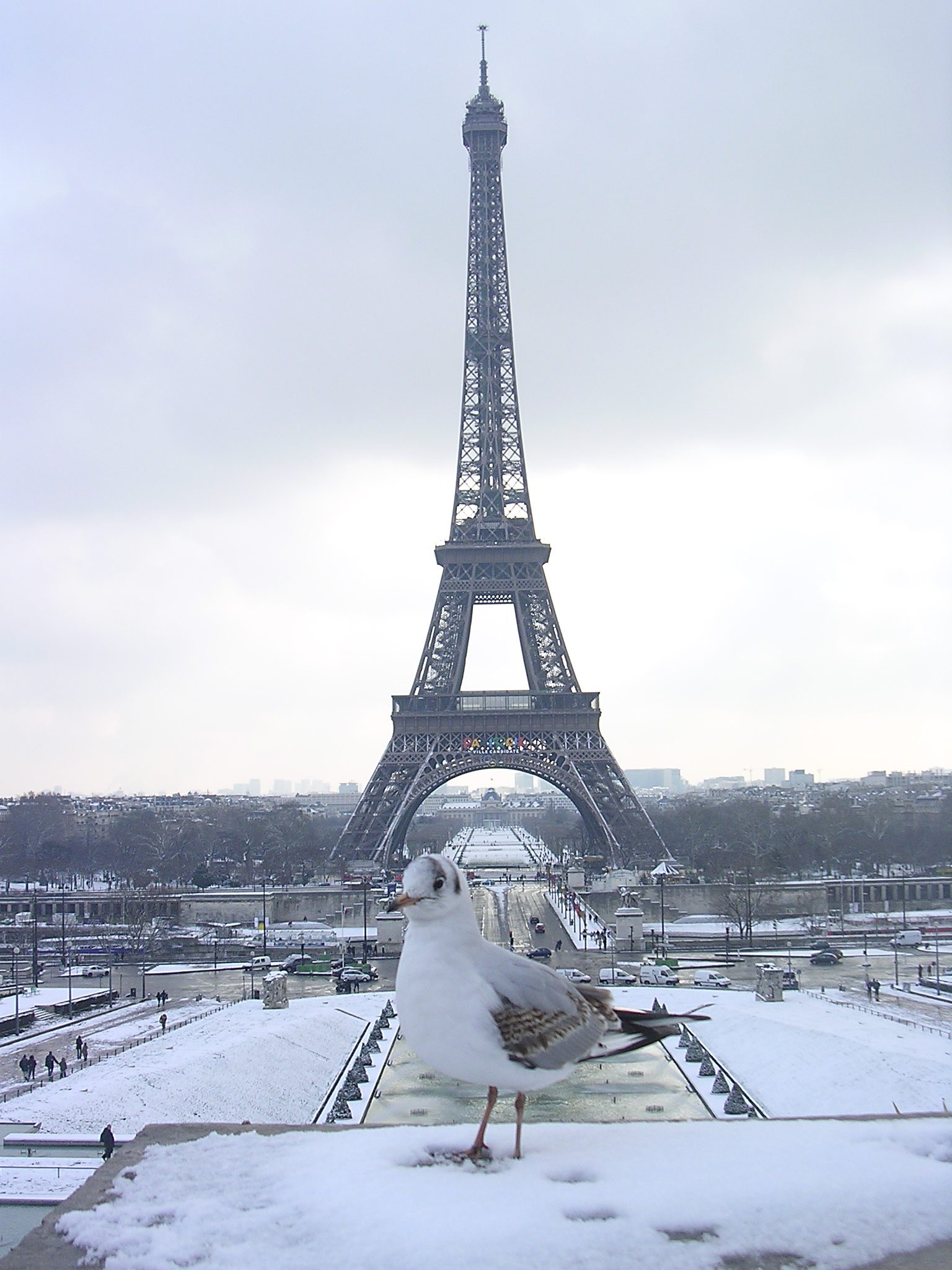 Tour-eiffel-snow 🍷 Melhor época para visitar Paris: quando a cidade brilha mais