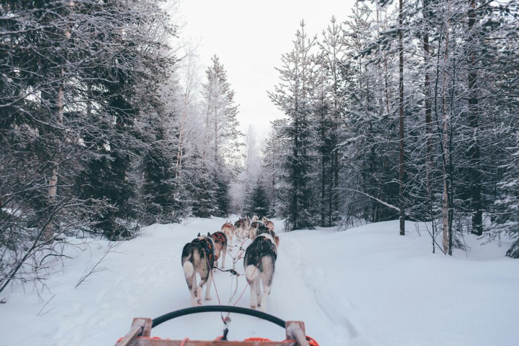 fox-jia-nzmPi4d5cvc-unsplash-1024x683 Europa no Inverno: 10 Destinos Imperdíveis para Fugir do Óbvio
