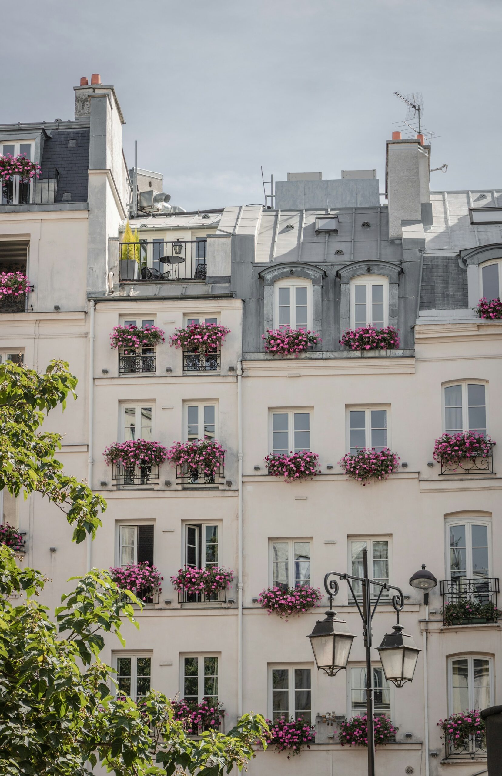 louis-paulin-bU37YTP12FQ-unsplash-scaled 🗼15 Razões para Visitar Paris e Se Apaixonar Pela Cidade Luz