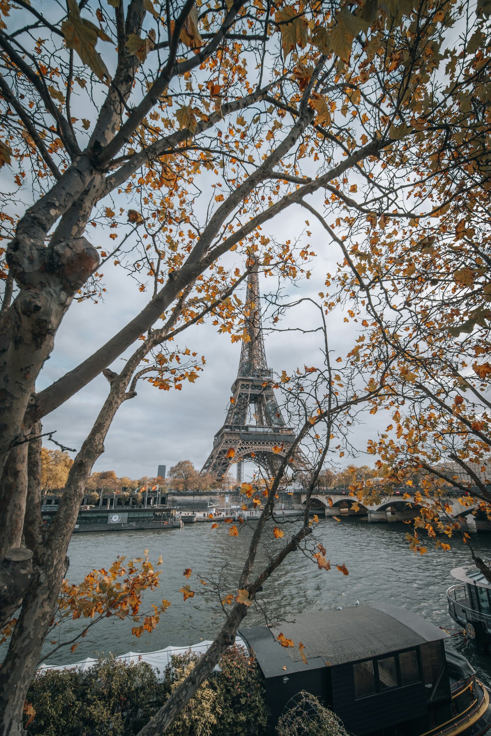 masood-aslami-gZIzOjLWk_4-unsplash-scaled 🍷 Melhor época para visitar Paris: quando a cidade brilha mais