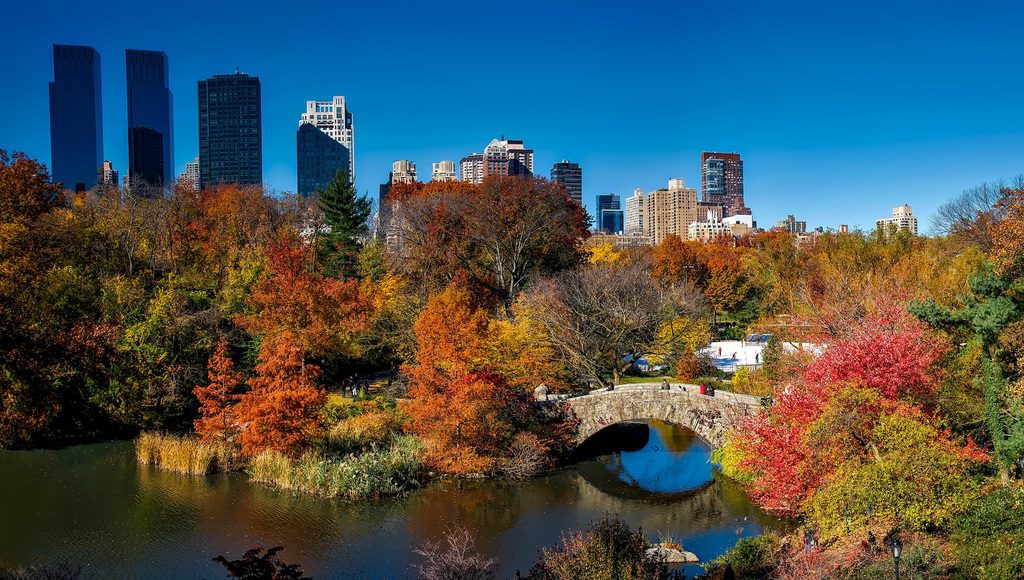 landscape-tree-water-skyline-leaf-fall-1026655-pxhere.com_ 🌆 Melhor Época para Visitar Nova York