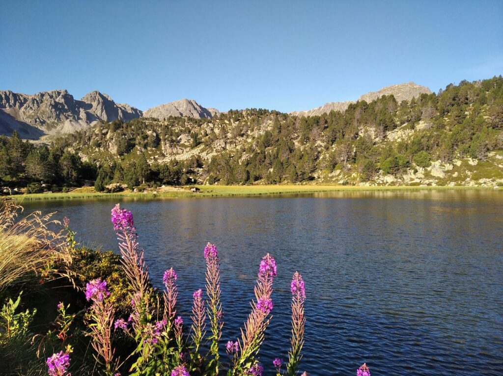 joe-planas-Z5AIZIwbXy0-unsplash-1024x766 🌄 Melhor época para visitar Andorra: descubra cada estação nos Pirineus